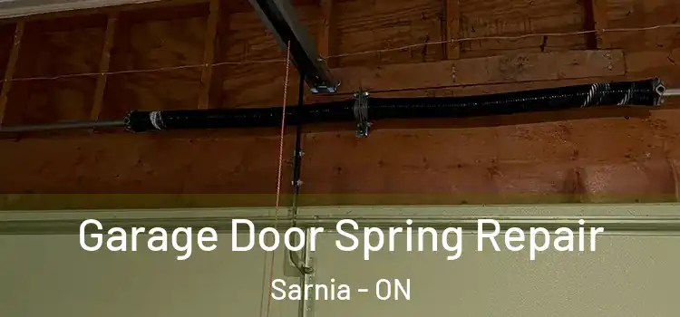  Garage Door Spring Repair Sarnia - ON