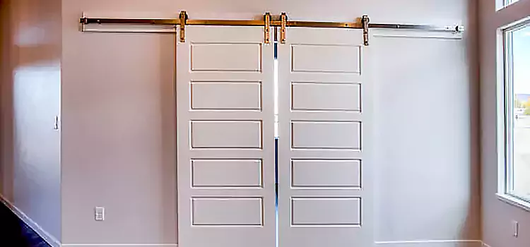 Glass Barn Door with Installation Hardware Kit Sarnia